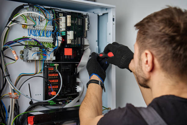 Licensed Electrical Panel Upgrade service in Cedar Springs, MI - No Joke electrician